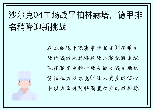 沙尔克04主场战平柏林赫塔，德甲排名稍降迎新挑战